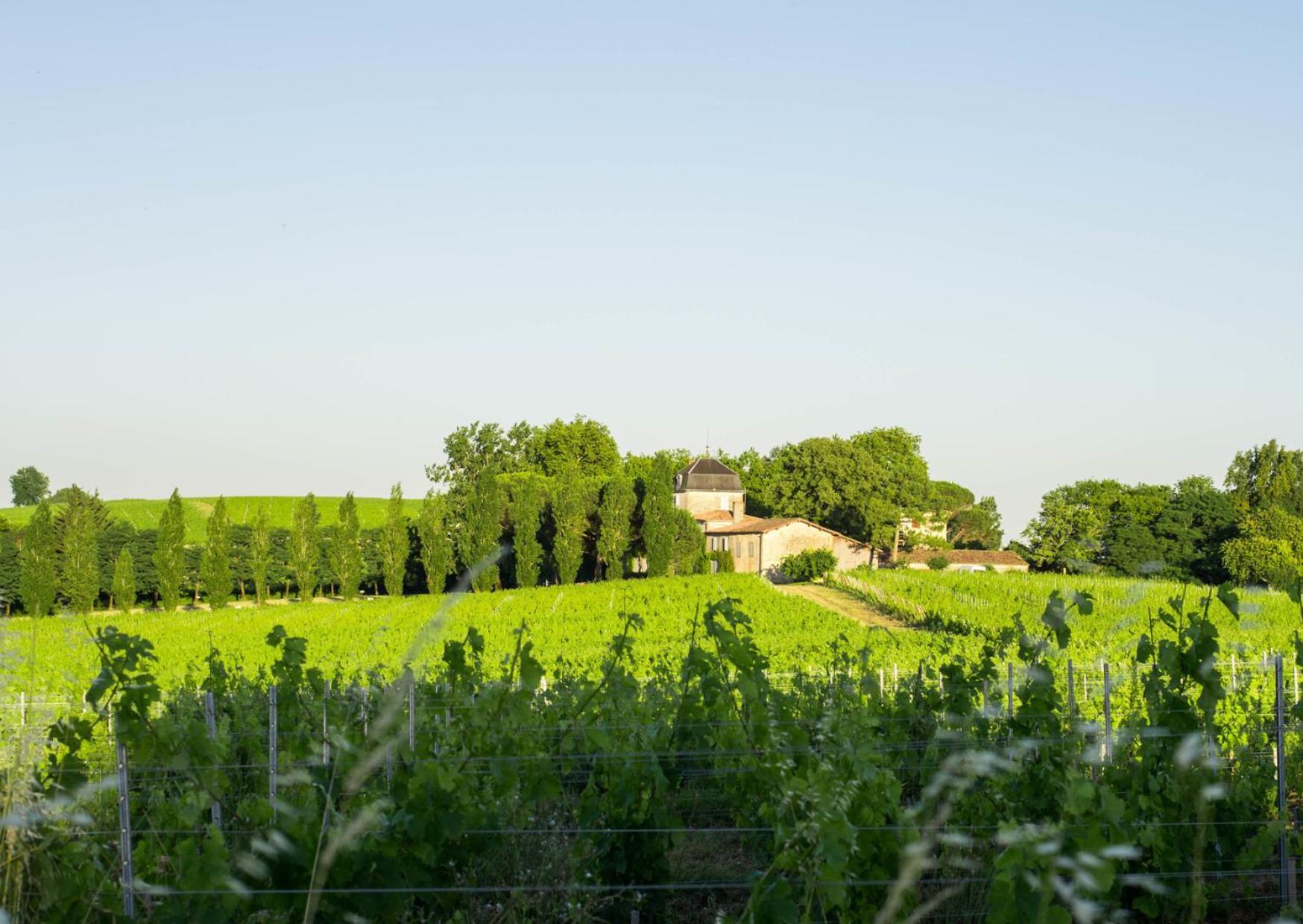 Atena Bordeaux Sud Est Creon - Velo Friendly Exteriér fotografie