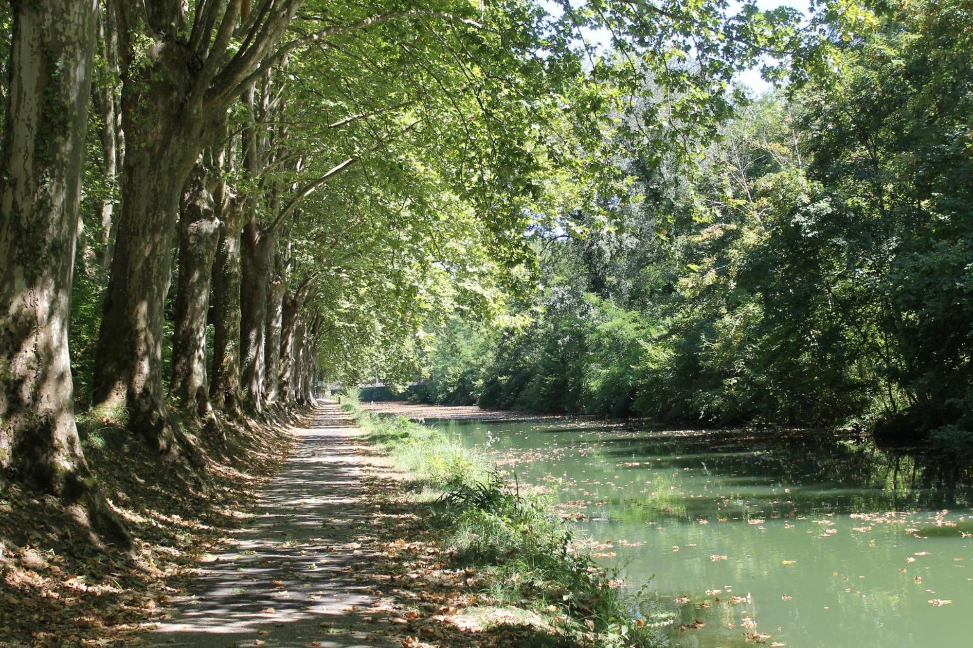 Atena Bordeaux Sud Est Creon - Velo Friendly Exteriér fotografie